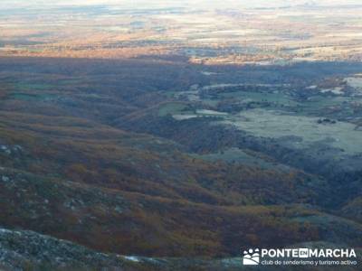 Hayedo de Pedrosa - Parque Natural Sierra Norte de Guadalajara - Hayedo de Tejera Negra